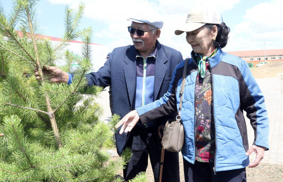 ЭНЭ ХАВАР НИЙСЛЭЛД 288 МЯНГАН МОД ТАРИНА