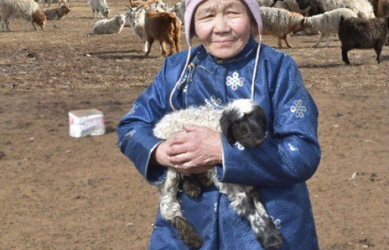 ХӨӨРХӨН ЭМЭЭ