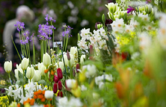 ЦАГ АГААР: Улаанбаатар хотод өдөртөө 19-21 градус дулаан байна