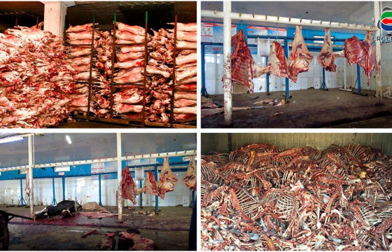 Өмхий маханд химийн бодис хольсон байж болзошгүй хэрэгт 