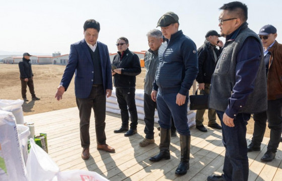 Татварын асуудлыг хууль, эрх зүйн хүрээнд зохицуулбал өндөгний хэрэгцээг дотоодоос бүрэн хангах боломжтой