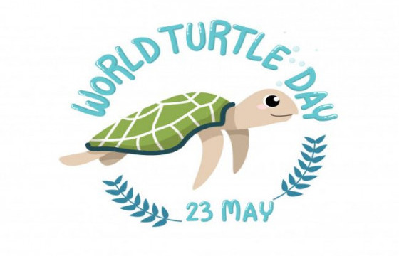 Өнөөдөр дэлхийн яст мэлхий хамгаалах  өдөр