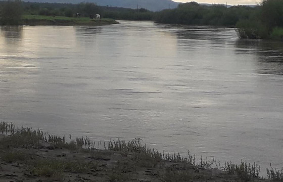 Тогтоол усанд  хоёр хүүхэд осолдсон хэрэг гарлаа