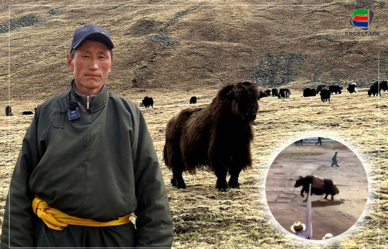 БАЯНХОНГОРЫН НААДАМ “ҮЙМҮҮЛЭГЧ” САРЛАГИЙН ЭЗЭН Д.БАТЖАРГАЛ: НААДМААР ЗҮГГҮЙТСЭН “ФЭЙС БОР” ЧИНЬ МАНАЙ ХОТНЫ ХАМГИЙН НОМХОН НЬ ШҮҮ ДЭЭ 