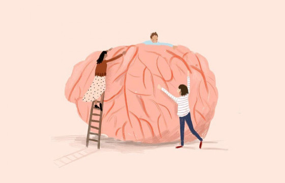 Хүний сэтгэл зүйн талаарх сонирхолтой арван баримт