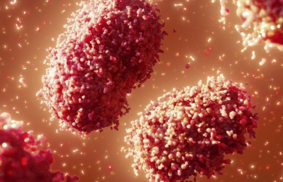 Сармагчны цэцэг өвчин дахин гурван улсад илэрлээ