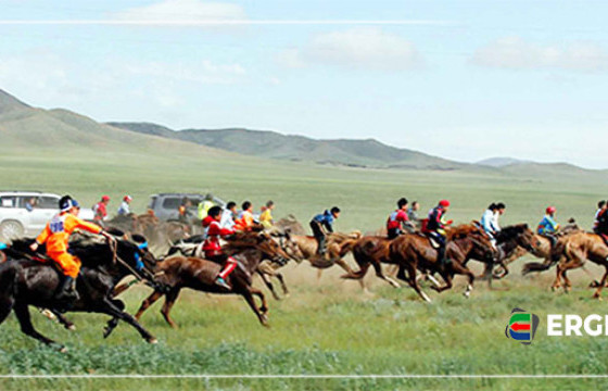 ТӨРИЙН НААДАМД ЖИЖИГ БИЕТЭЙ ЭРЛИЙЗ АДУУ ТҮРҮҮЛЖ, АЙРАГДДАГ БОЛСОН 