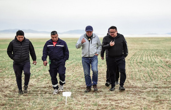 Хэнтий аймагт тариалалтын шинэ технологи амжилттай туршигдаж байна