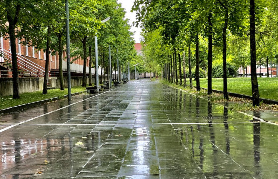 ЦАГ АГААР: Улаанбаатарт өдөртөө 11-13 градус дулаан байна