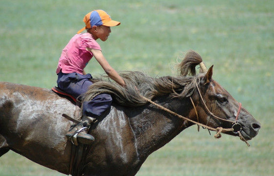 Ц.ДУЛАМСҮРЭН: Монгол уяач, адуу хоёр наадамдаа оролцох эрхгүй болж байна
