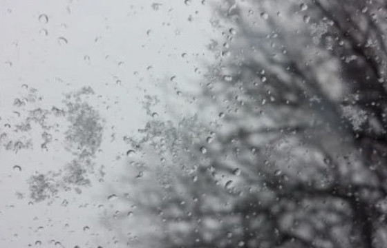 ЦУОШГ: Амралтын өдрүүдэд ихэнх нутгаар бороо орно