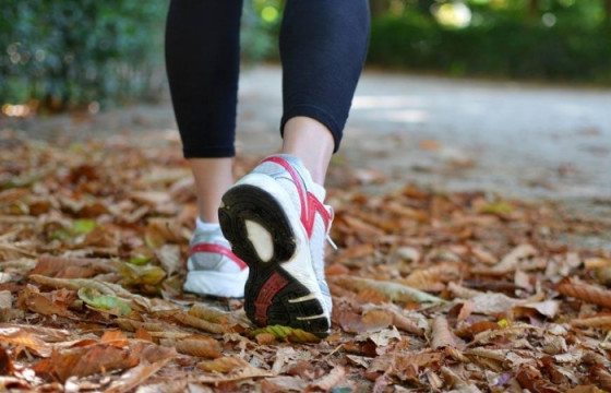  Завхан, Говь-Алтай, Баянхонгор, Архангай аймагт “4 аймаг 400 км” уртын явган алхалтыг зохион байгууллаа