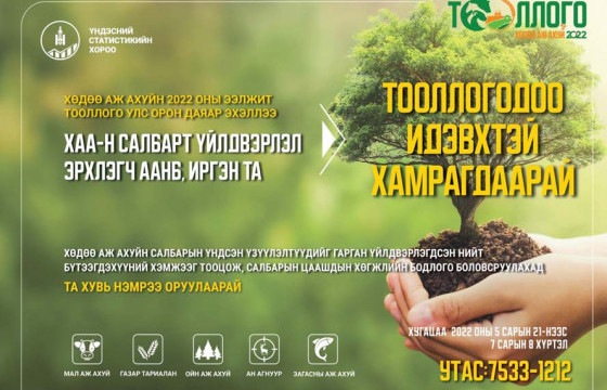 Хөдөө аж ахуйн ээлжит тооллого нийслэлд маргааш эхэлнэ