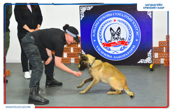 Эрэлч нохойн албыг чадавхжуулах сургалт үргэлжилж байна