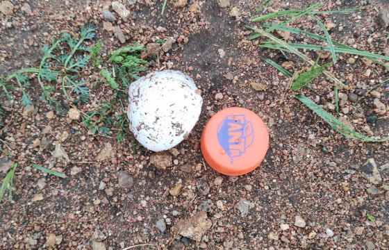 Хөвсгөлийн иргэн: МӨНДӨР ОРЖ, ОЛОН АЙЛЫН БАЙШИНГИЙН ДЭЭВЭР ЦООЛЛОО