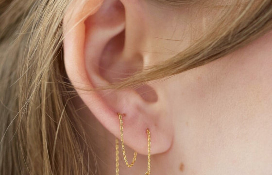 Дэлхийн хамгийн үнэтэй ТАВАН ээмэг