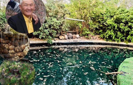 ӨДРИЙН СУРВАЛЖИЛГА: ГАРААР УРЛАСАН ГОВИЙН БАЯНБҮРД