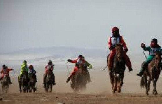 Хөлөнбуйр суманд бага насны хүүхэд мориноос унаж амиа алджээ