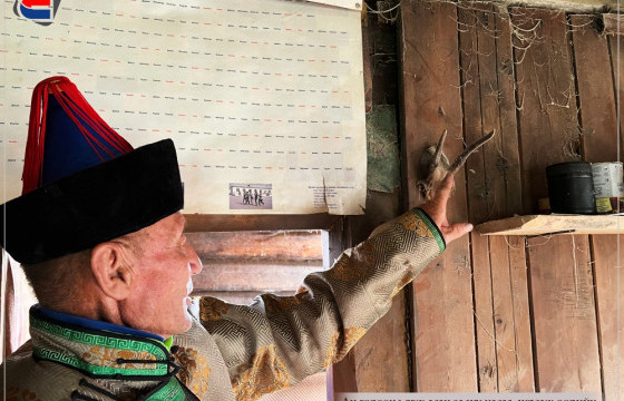 Анчин баавай Б.ӨЛЗИЙБААТАР: Нохой дагуулсан анчид зэрлэг гахайн сүргийг хүйс тэмтэрч байна даа