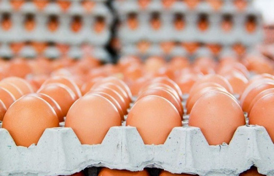 Өндөгний нийлүүлэлтийг хязгаарлажээ