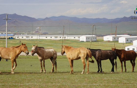 УЯАЧИД ТӨРИЙН НААДАМД ХУРДЛАХ ХҮЛГҮҮДИЙНХЭЭ СОЙЛГЫГ НАЛАЙХЫН ГОЛД ТААРУУЛЖ БАЙНА
