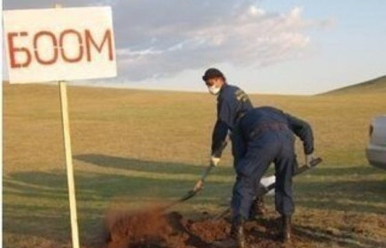 ӨНДӨРХАНГАЙ СУМЫН ЗДТГ-ЫН АЖИЛТАН: Үхсэн үхрийн арьс өвчсөн 37 настай малчнаас боом илэрсэн