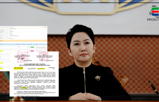 Гадаад харилцааны сайд Б.Батцэцэгийн компаниуд он гарсаар 12 тендер авчээ