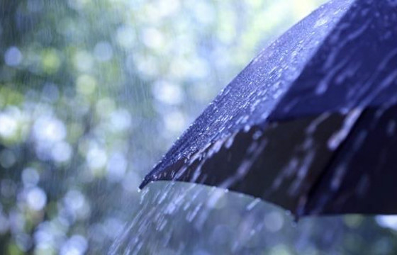 Бороотой өдөр хийж болох зүйлс