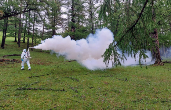 ХӨВСГӨЛ АЙМГИЙН ЕСӨН СУМАНД ОЙН ХӨНӨӨЛТ ШАВЬЖ УСТГАЖ БАЙНА