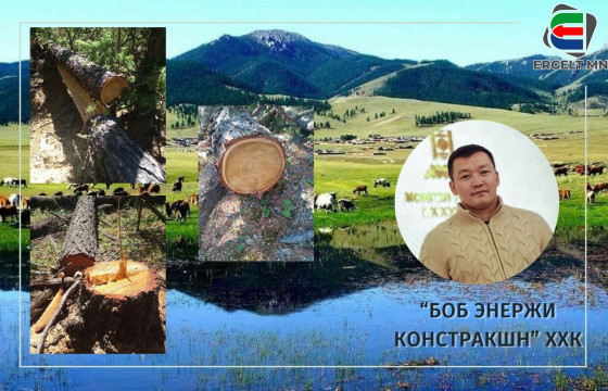 Улсын төсвийн 300 сая төгрөгөөр модон гүүр барьж байгаа “Боб энержи констракшн” ХХК хууль бусаар нойтон мод бэлтгэж, төрийн албан хаагчийг дарамталжээ