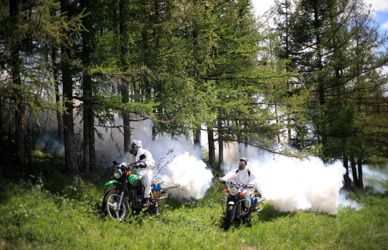 Нийслэлийн ногоон бүсэд хортон шавжтай тэмцэх ажлыг зохион байгуулж байна
