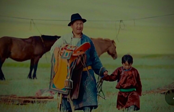 СҮҮТЭЙ ХЭЭРИЙН НААДАМ