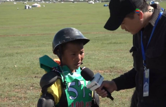 Сэрвээний өндрийн стандарт хангаагүй морийг хасаж байна