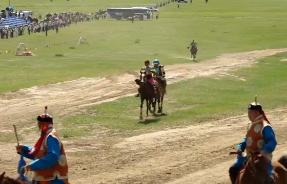  МОРИНЫ КОМИСС: Айргийн тавд орж ирсэн хурдан хүлгүүд 