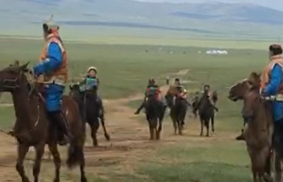 Хурдан азарганы уралдаанд улсын манлай Б.Нямжавын хээр азарга түрүүллээ