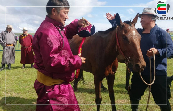 Их насны морьдын уралдаанд аймгийн алдарт уяач С.Энхтөрийн дүүгүүр хээр түрүүллээ