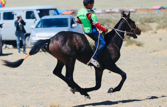 ТАНИЛЦ: АЙРГИЙН ТАВД ХУРДАЛСАН АЗАРГА
