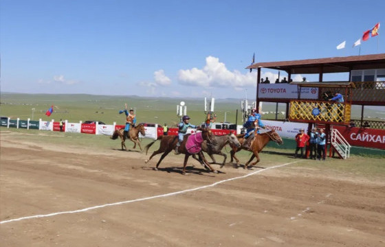 Эрлийз дээд насны морьдын уралдаанд С.Баярсайханы бор морь түрүүллээ