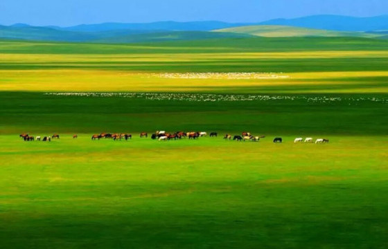 Их говийн хаяаг гатлан Өлзийтийн тойромдоо очих сон