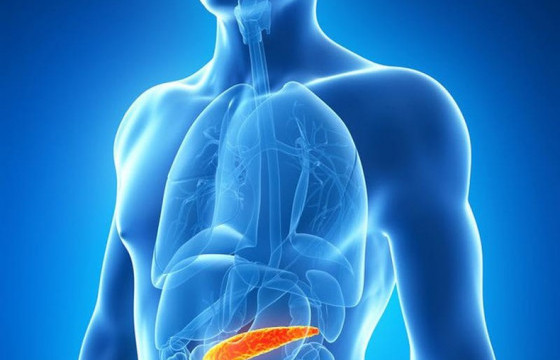 ЗӨВЛӨГӨӨ: Нойр булчирхайн өвдөлтөд ямар арга хэмжээ авах вэ