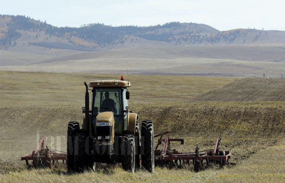 Түлшний үнийг хаврын тариалалтын үеийн түвшинд байлгах зохицуулалт хийхээр боллоо