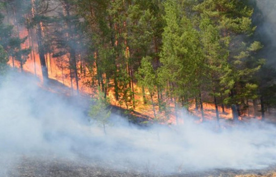 СҮХБААТАР АЙМАГТ ГАРСАН ГАЛ ТҮЙМРИЙГ УНТРААЖЭЭ