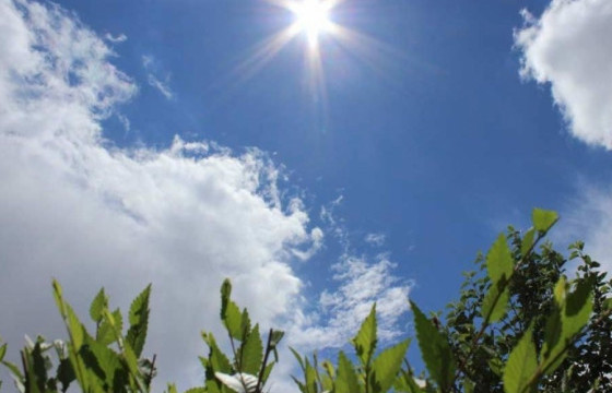 ЦАГ АГААР: Улаанбаатар хотод өдөртөө 21-23 градус дулаан байна