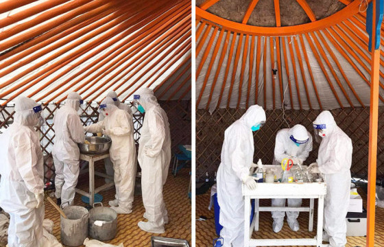 УВС АЙМГИЙН ХОЁР СУМАНД ТАРВАГАН ТАХЛЫН ЭРСДЭЛ ӨНДӨР БАЙГААГ ТОГТООЖЭЭ