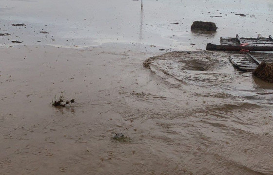 ОБЕГ: Аврагчид үерийн усанд автсан иргэдийн аюулгүй байдлыг ханган ажиллаж байна