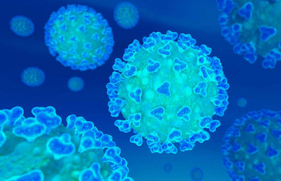 Сүүлийн 24 цагт коронавирусийн 248 тохиолдол бүртгэгджээ