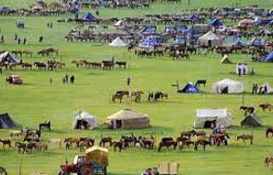 Увс аймагт баяр наадам зохион байгуулахыг хориглолоо