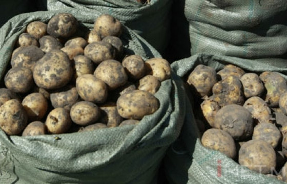 ШӨХТГ: Зах, худалдааны төвүүдэд төмс 1,125-2,930 төгрөгөөр худалдаалагдаж байна