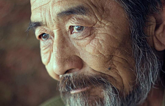 АРДЫН ЖҮЖИГЧИН Д.ГҮРСЭД БУЮУ АВЬЯАСЫН ХӨХ ОЧИС