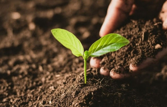 Үерийн эрсдэлээс сэргийлж шуудуу татжээ